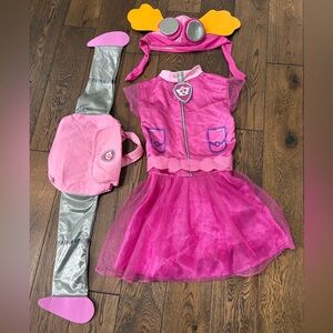 Paw Patrol Sky Costume